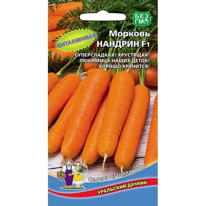 Морковь нандрин. Морковь Нандрин f1. Морковь Нандрин f1 семена. Морковь Нандрин СЕДЕК. Нандрин морковь описание.