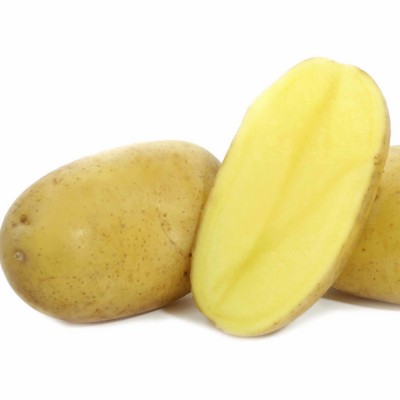 Картофель семенной Фиделия (1 кг/уп - репродукция супер-супер элита, суперранний)