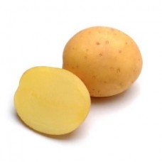 Картофель семенной Мадейра (1кг/уп - репродукция супер элита, среднеранний)