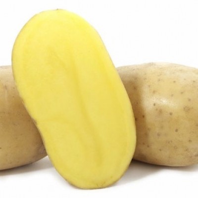 Картофель семенной Вега (1 кг/уп - репродукция элита, супер-ранний)