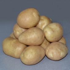 Картофель семенной Удача (1 кг/уп - репродукция супер элита, ранний)