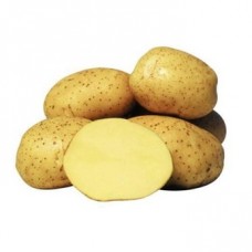Картофель семенной Янка (1 кг/уп - репродукция супер-супер элита, средне-спелый)